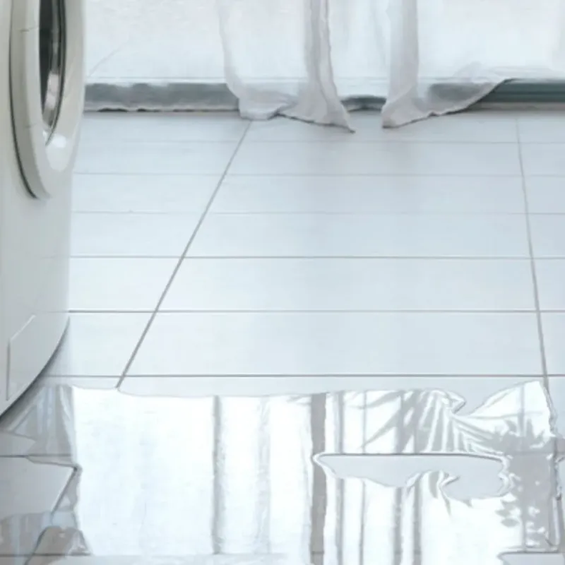 Appliance Leak Cleanup in Gardner, MA