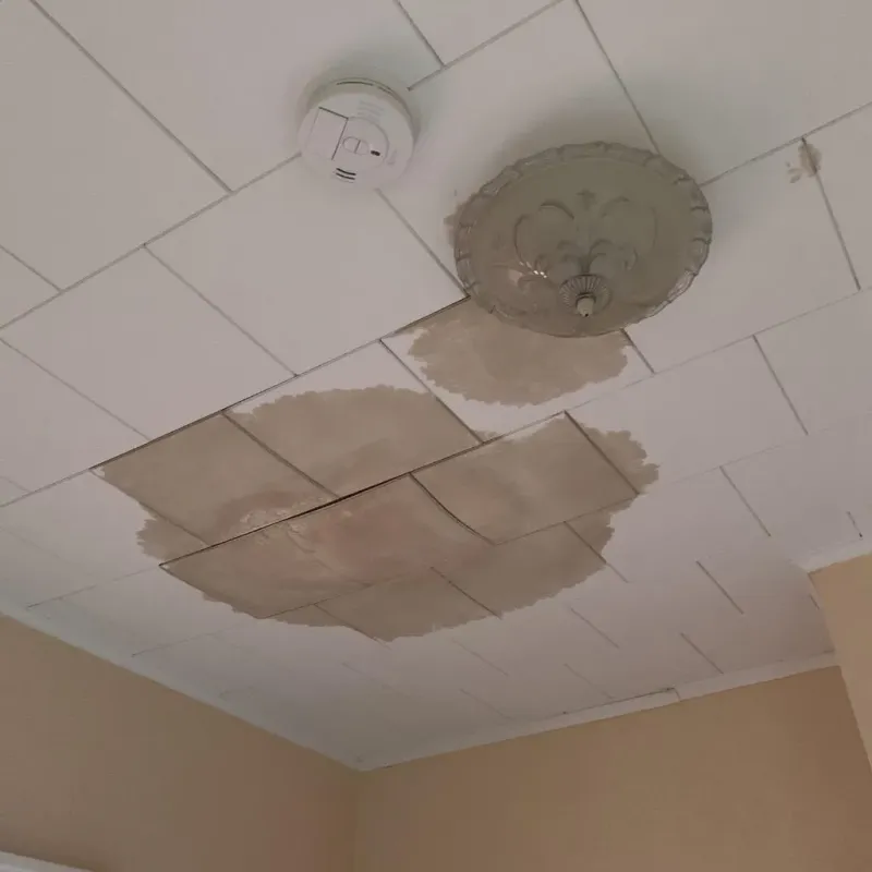 Ceiling Water Damage Repair in Gardner, MA