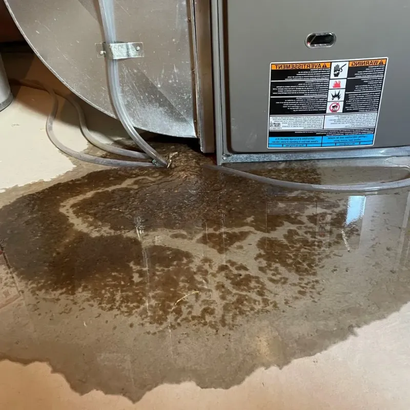 Pipe Burst and Leak Restoration in Gardner, MA